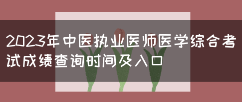 2023年中医执业医师医学综合考试成绩查询时间及入口