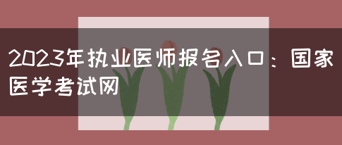 2023年执业医师报名入口：国家医学考试网