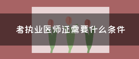 考执业医师证需要什么条件？