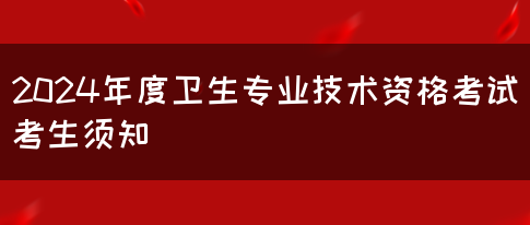 2024年度卫生专业技术资格考试考生须知